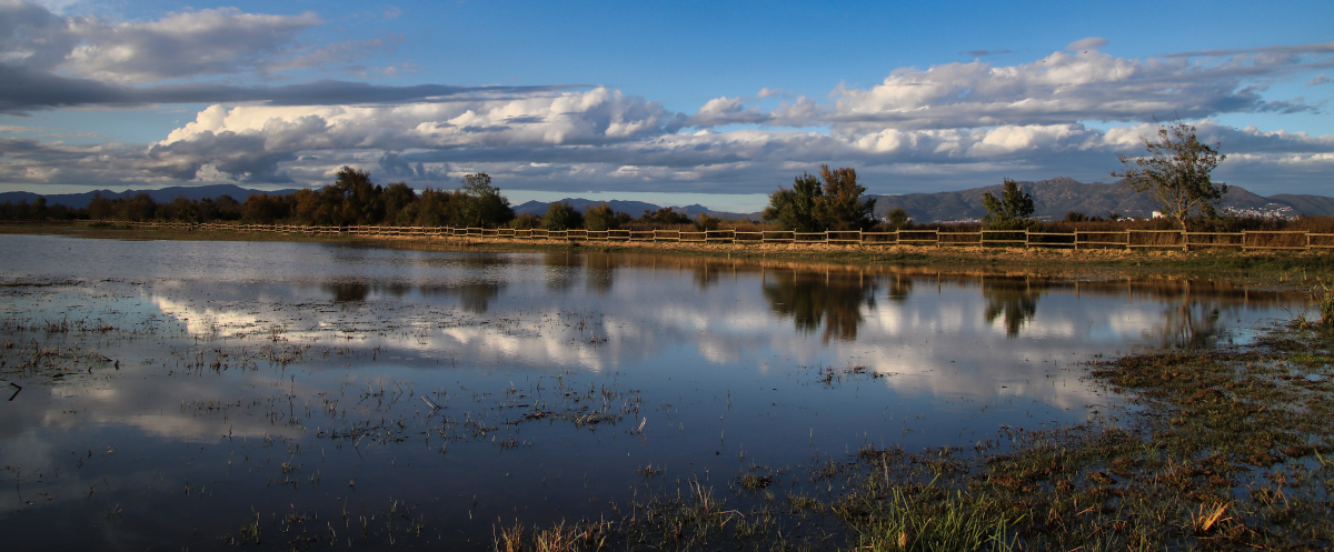 Les Aiguamolls d'Empordà