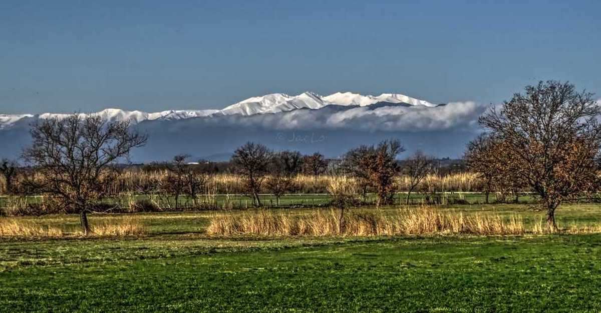 Le Canigou