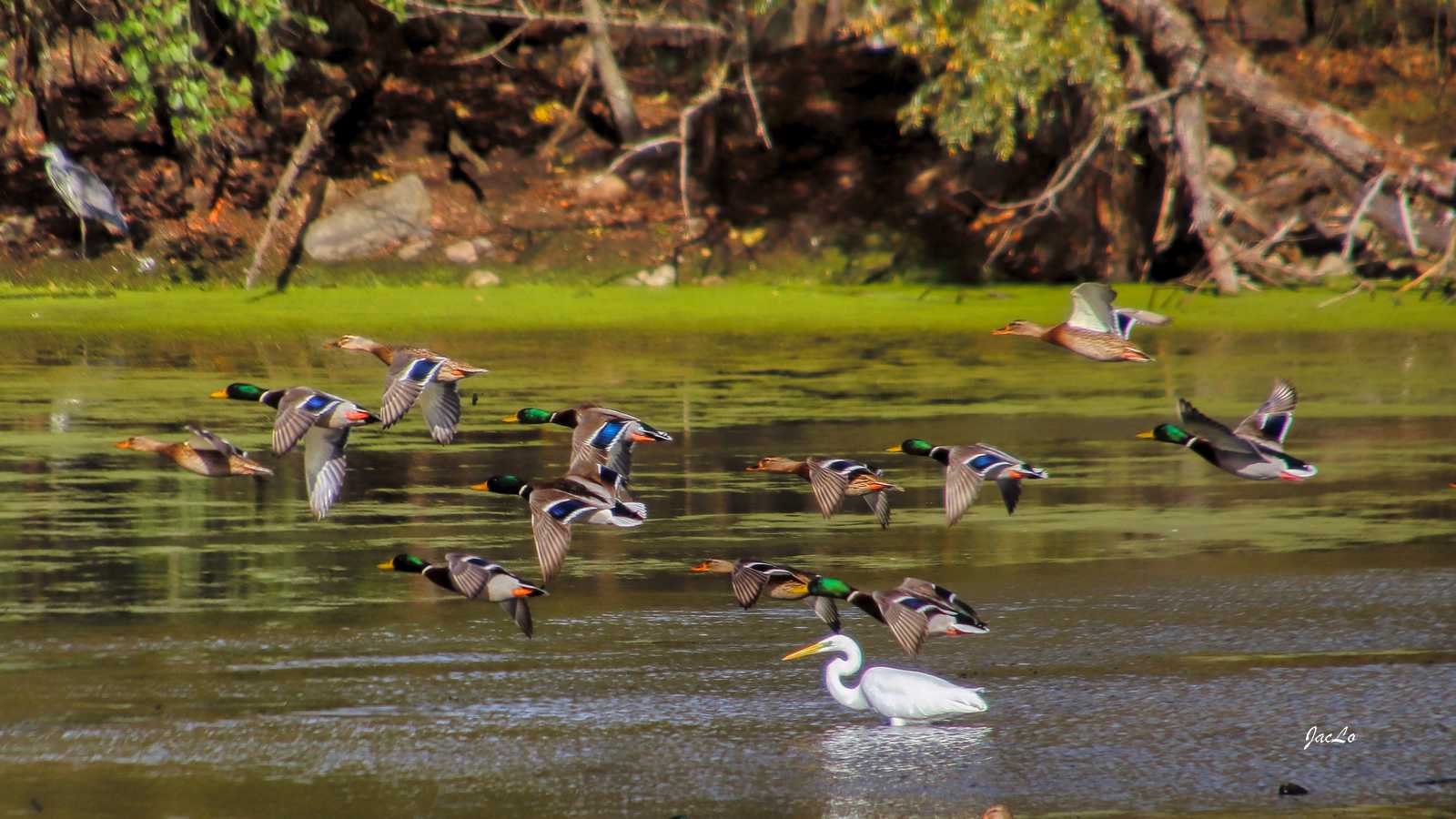 Le Parc de la Biodiversité